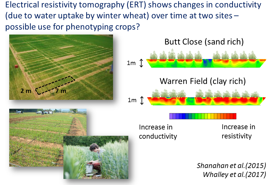 Soil water variability 